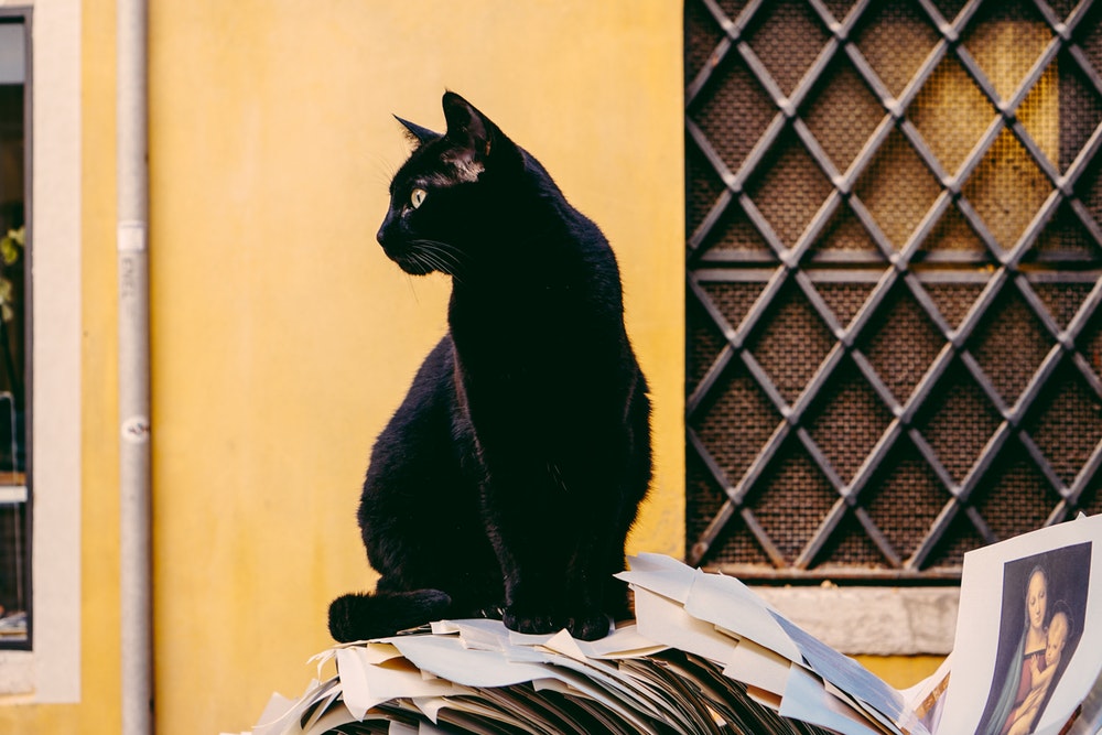 What Does Black Symbolise in Other Cultures